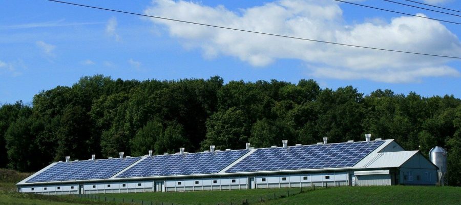 Paneles solares en empresas